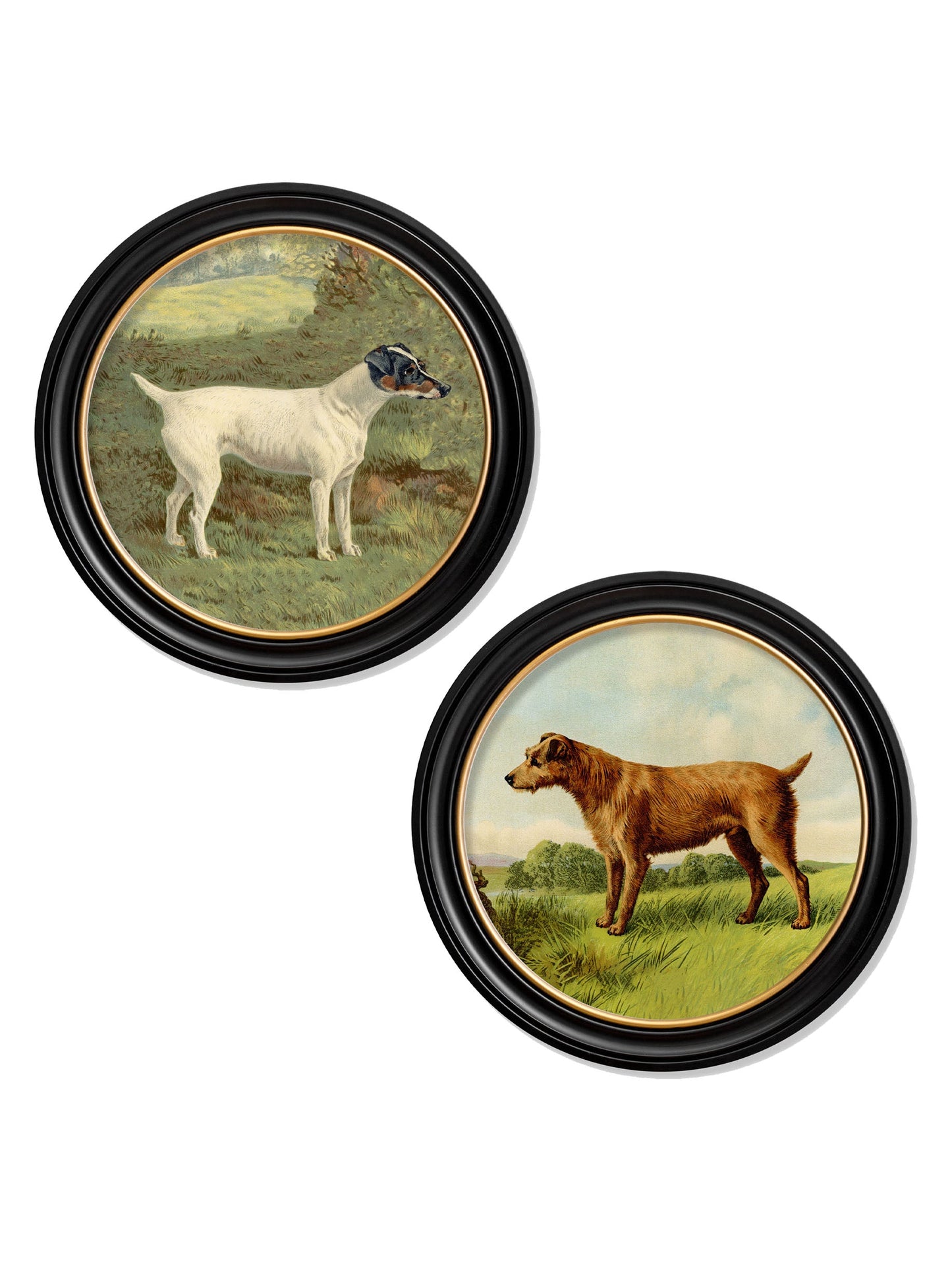 c.1881 Terriers - Round Frame