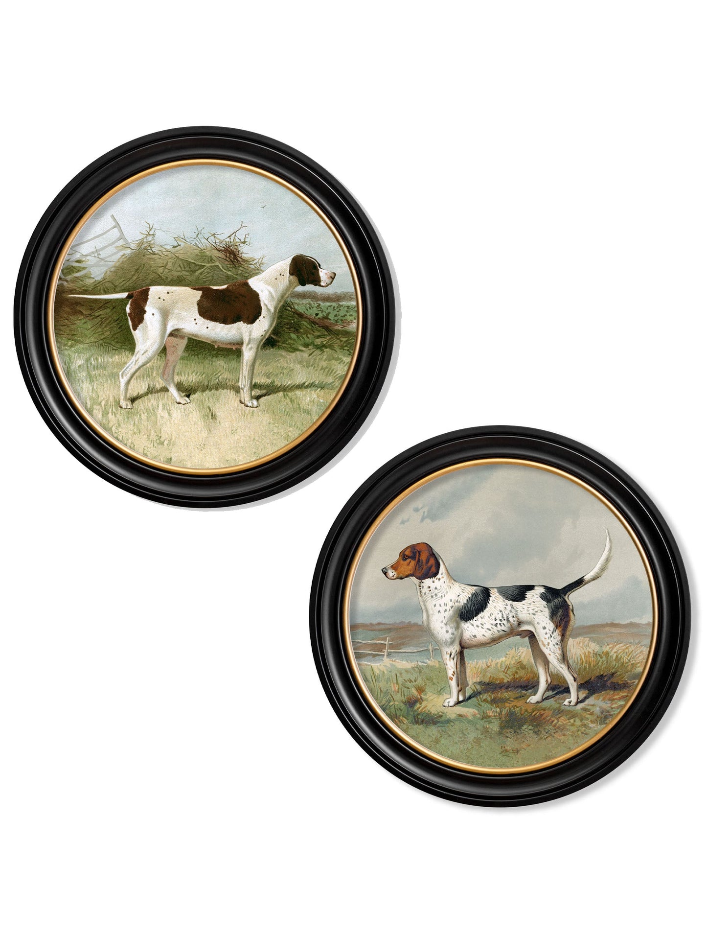 c.1881 Gun Dogs - Round Frame