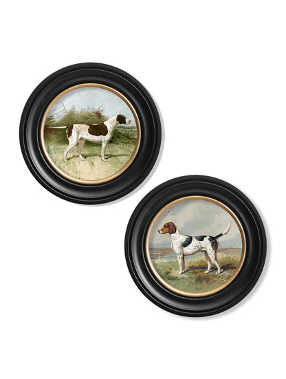 c.1881 Gun Dogs - Round Frame