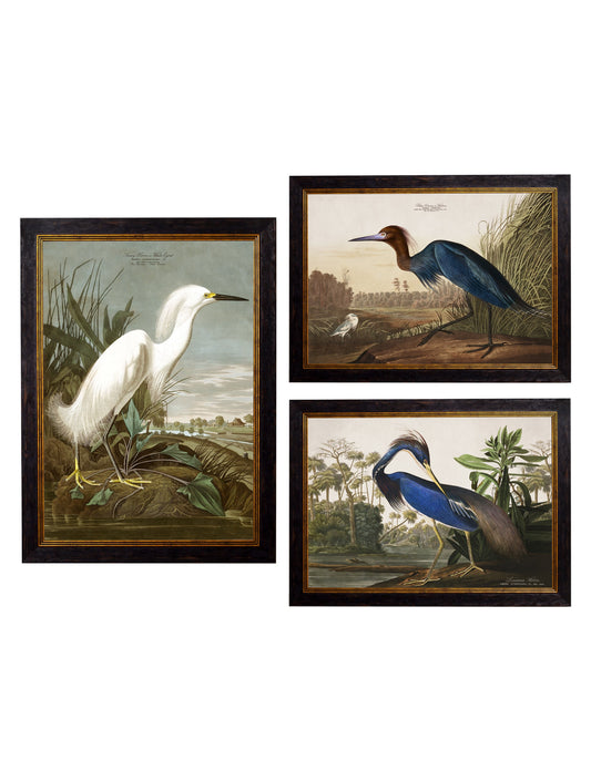 c.1838 Audubon's Herons