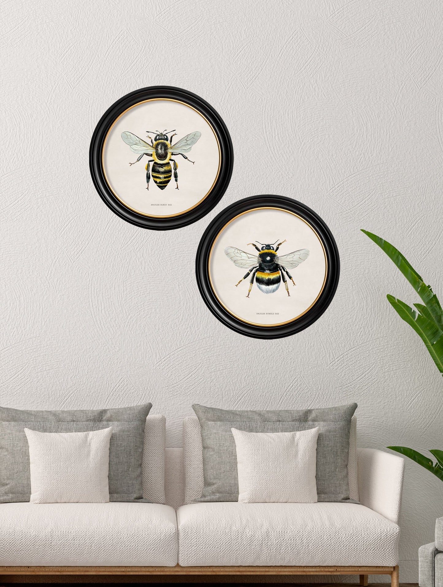 c1892 British Bees Round Frame