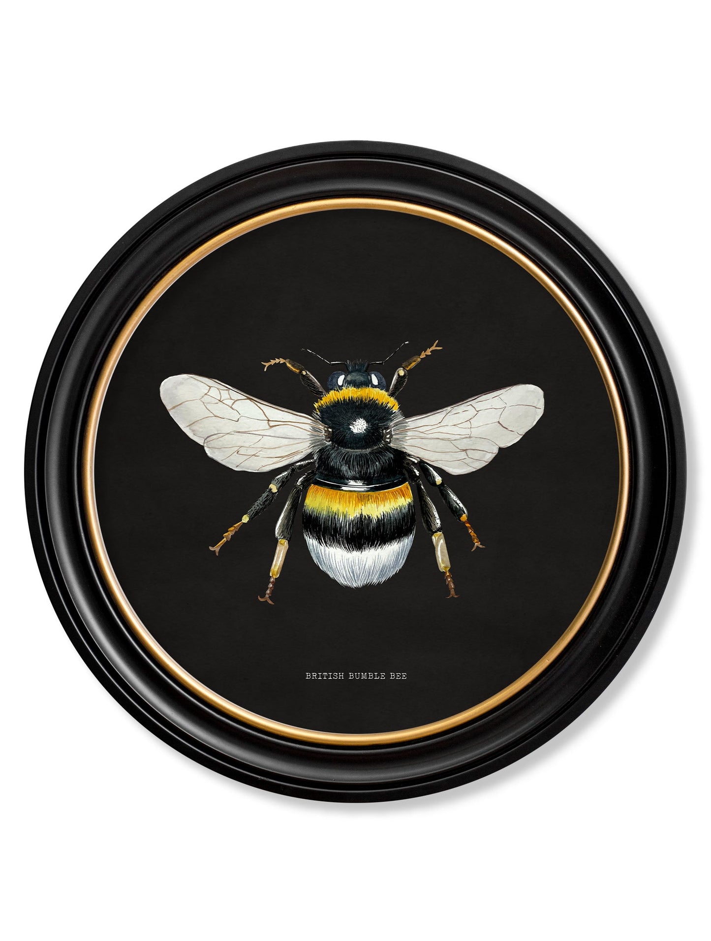 c892 British Bees Round Frame - Dark