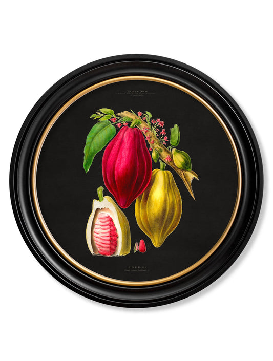 c.1843 Chocolate Plant - Round Frame - Black