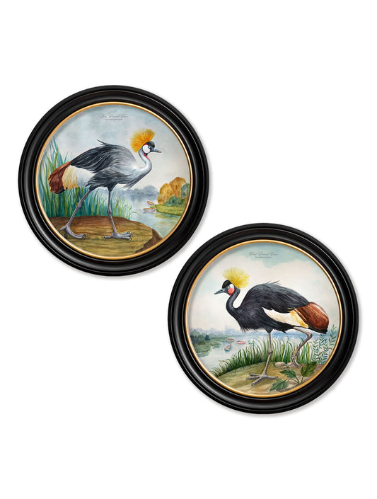 Audubon Style Cranes in Round Frames