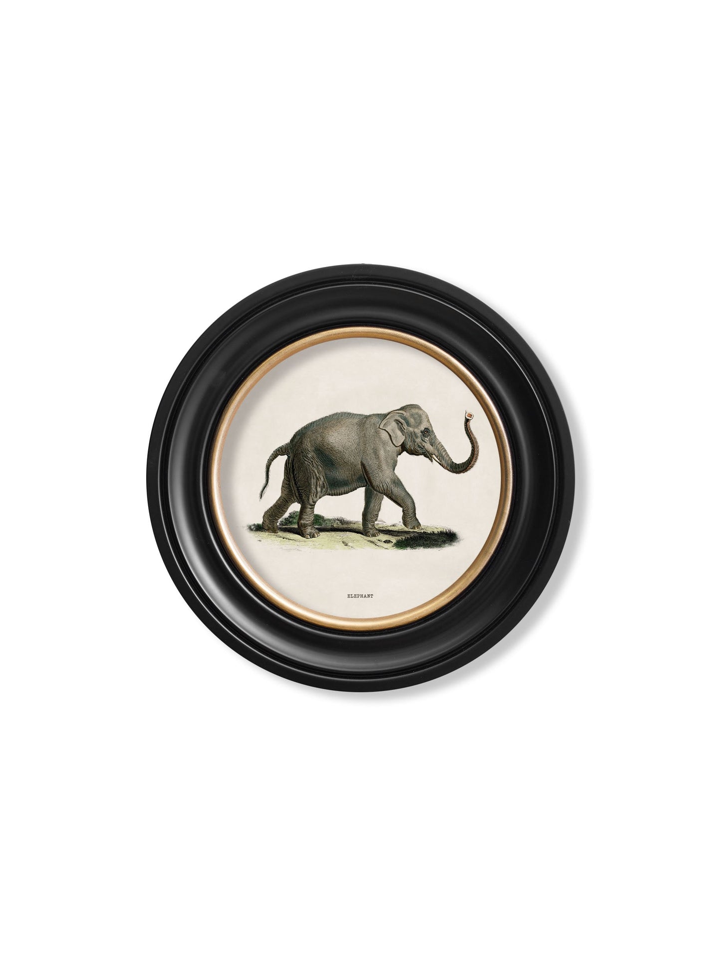 c.1846 Elephants in Round Frame