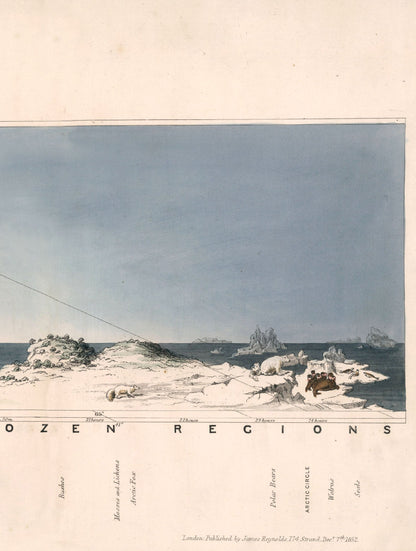 c.1852 View of Nature in all Climates - From the Equator to the Arctic Circle - The Weird & Wonderful