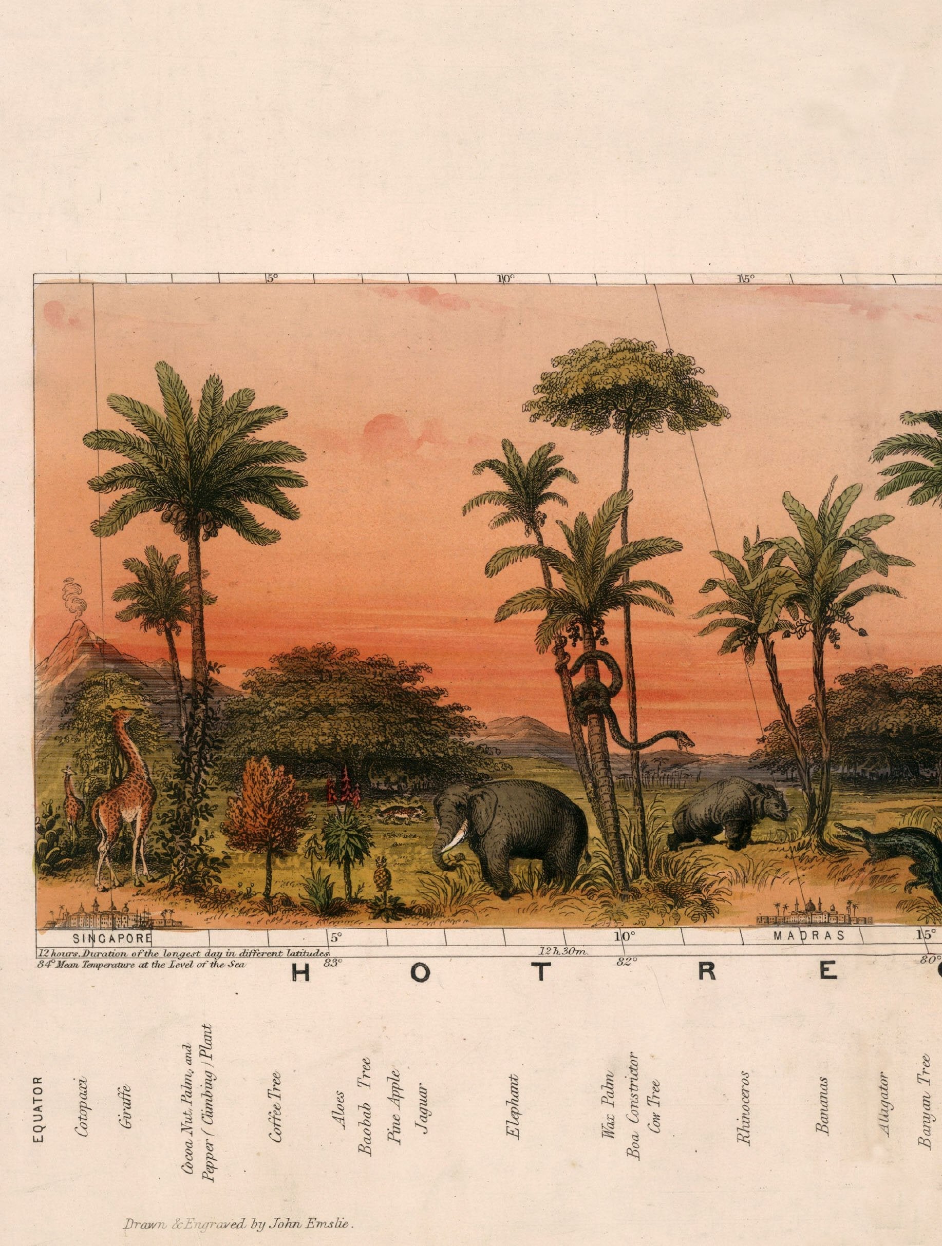 c.1852 View of Nature in all Climates - From the Equator to the Arctic Circle - The Weird & Wonderful