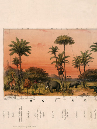 c.1852 View of Nature in all Climates - From the Equator to the Arctic Circle - The Weird & Wonderful