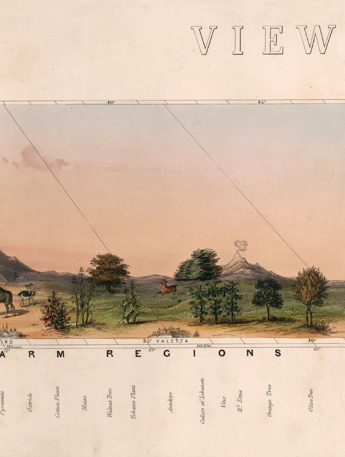 c.1852 View of Nature in all Climates - From the Equator to the Arctic Circle - The Weird & Wonderful