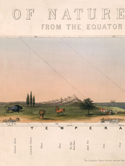 c.1852 View of Nature in all Climates - From the Equator to the Arctic Circle - The Weird & Wonderful