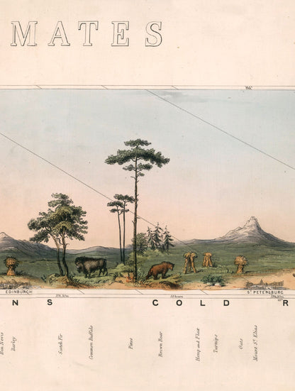 c.1852 View of Nature in all Climates - From the Equator to the Arctic Circle - The Weird & Wonderful