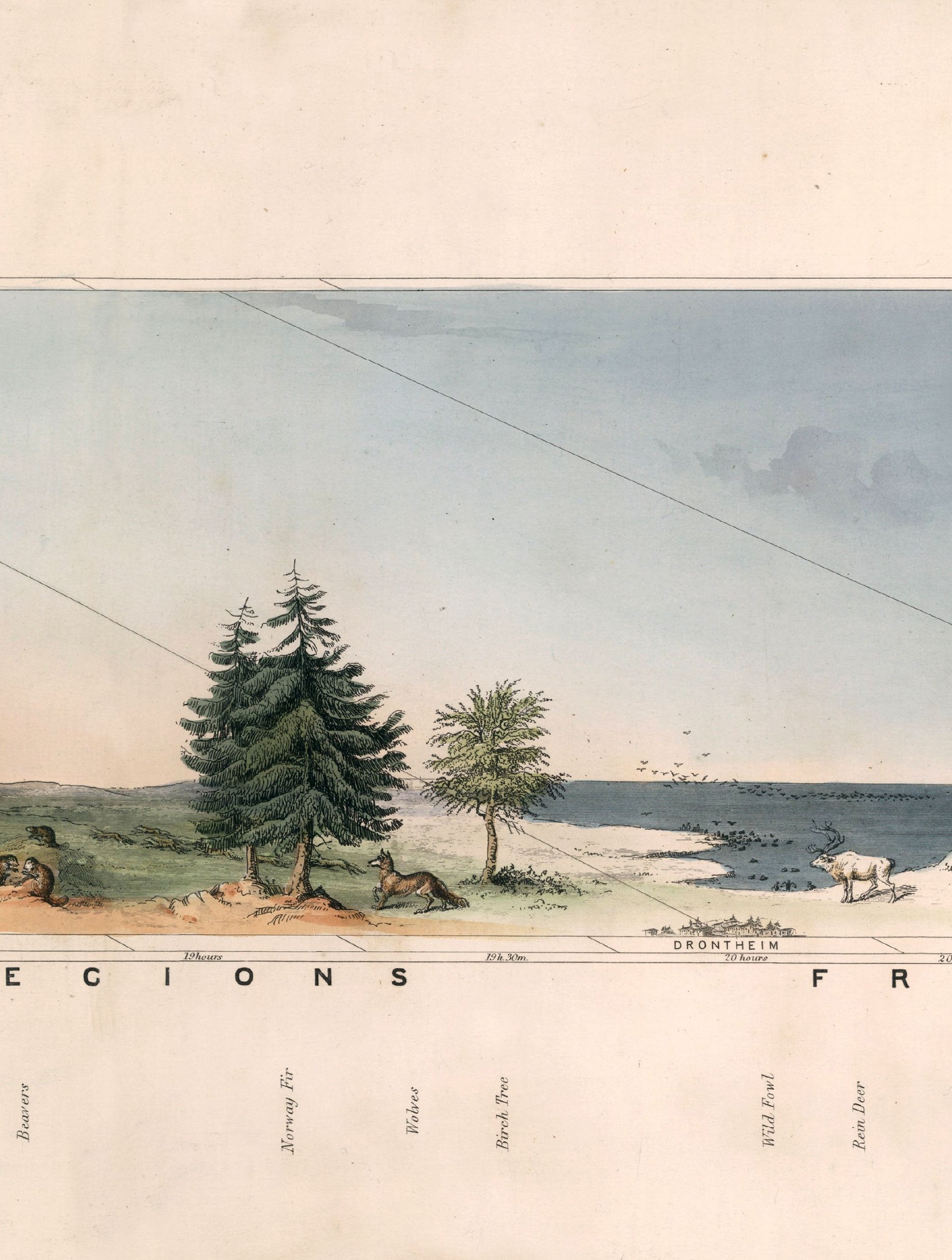 c.1852 View of Nature in all Climates - From the Equator to the Arctic Circle - The Weird & Wonderful