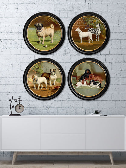 c.1881 Dogs - Round Frame