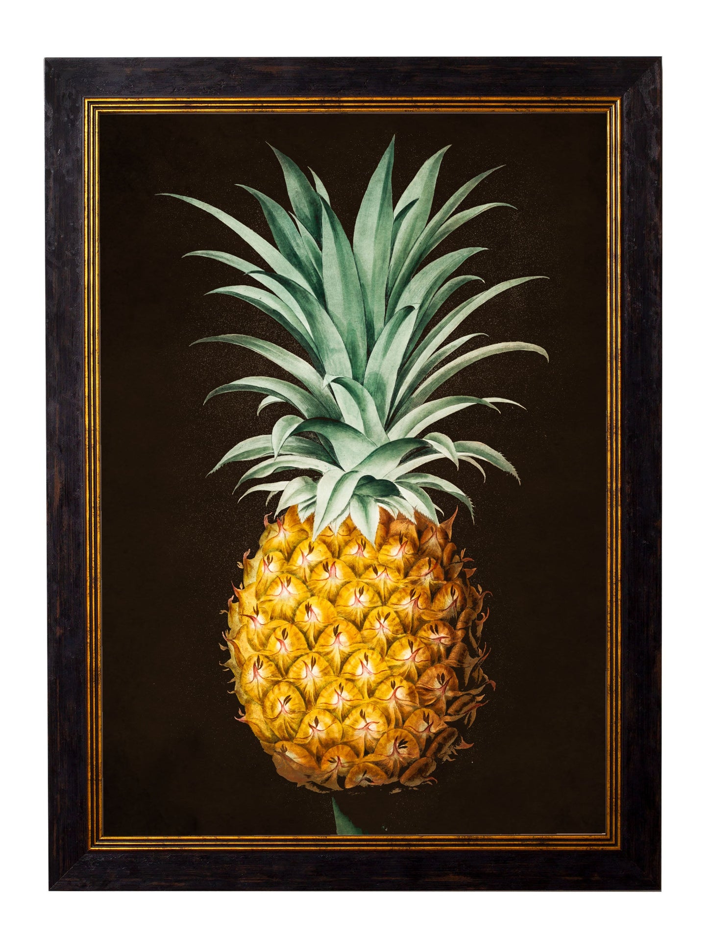 c.1812 Pineapple Study (Black)