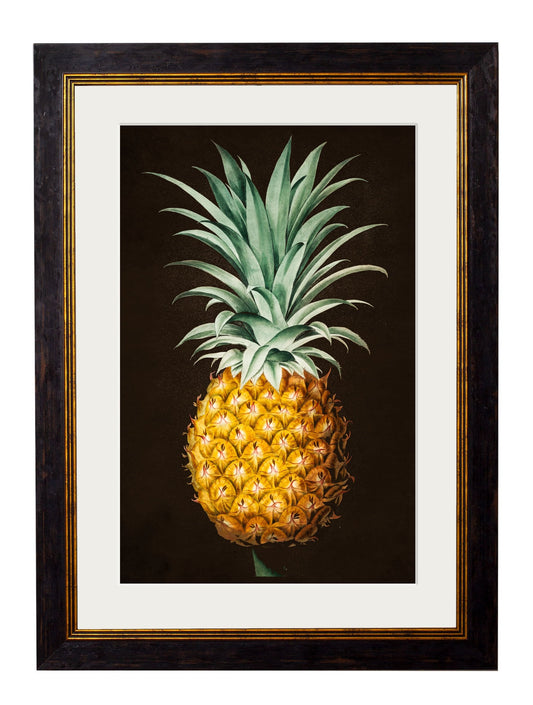 c.1812 Pineapple Study - The Weird & Wonderful