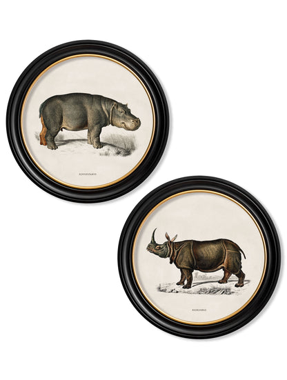 c.1846 Rhino & Hippo - Round Frames