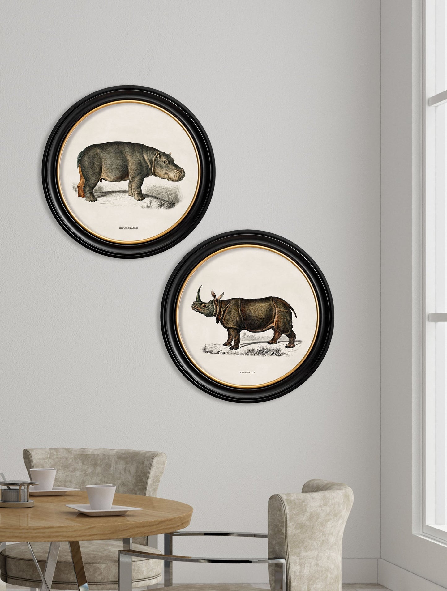 c.1846 Rhino & Hippo - Round Frames