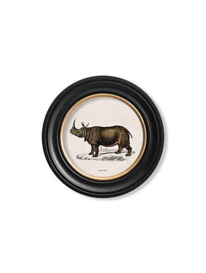 c.1846 Rhino & Hippo - Round Frames