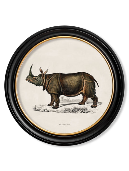 c.1846 Rhino & Hippo - Round Frames