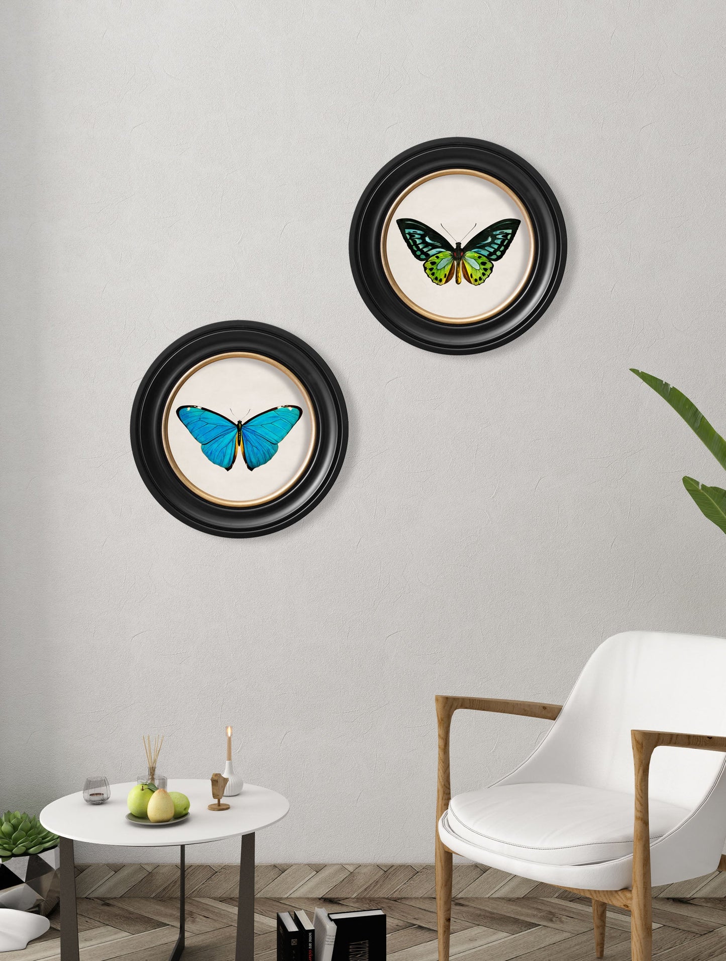 c.1836 Tropical Butterflies - Round Frames