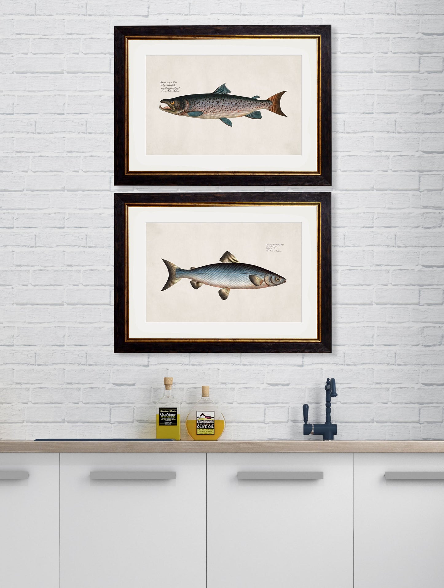 c.1785 Studies of Salmon