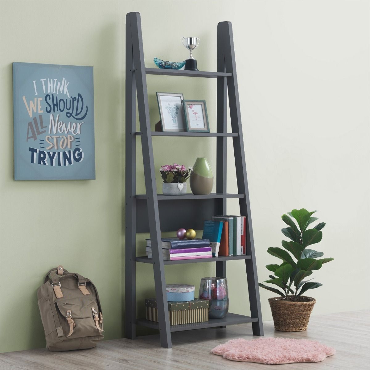 Riva Ladder Bookcase