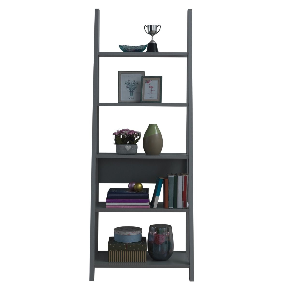 Riva Ladder Bookcase