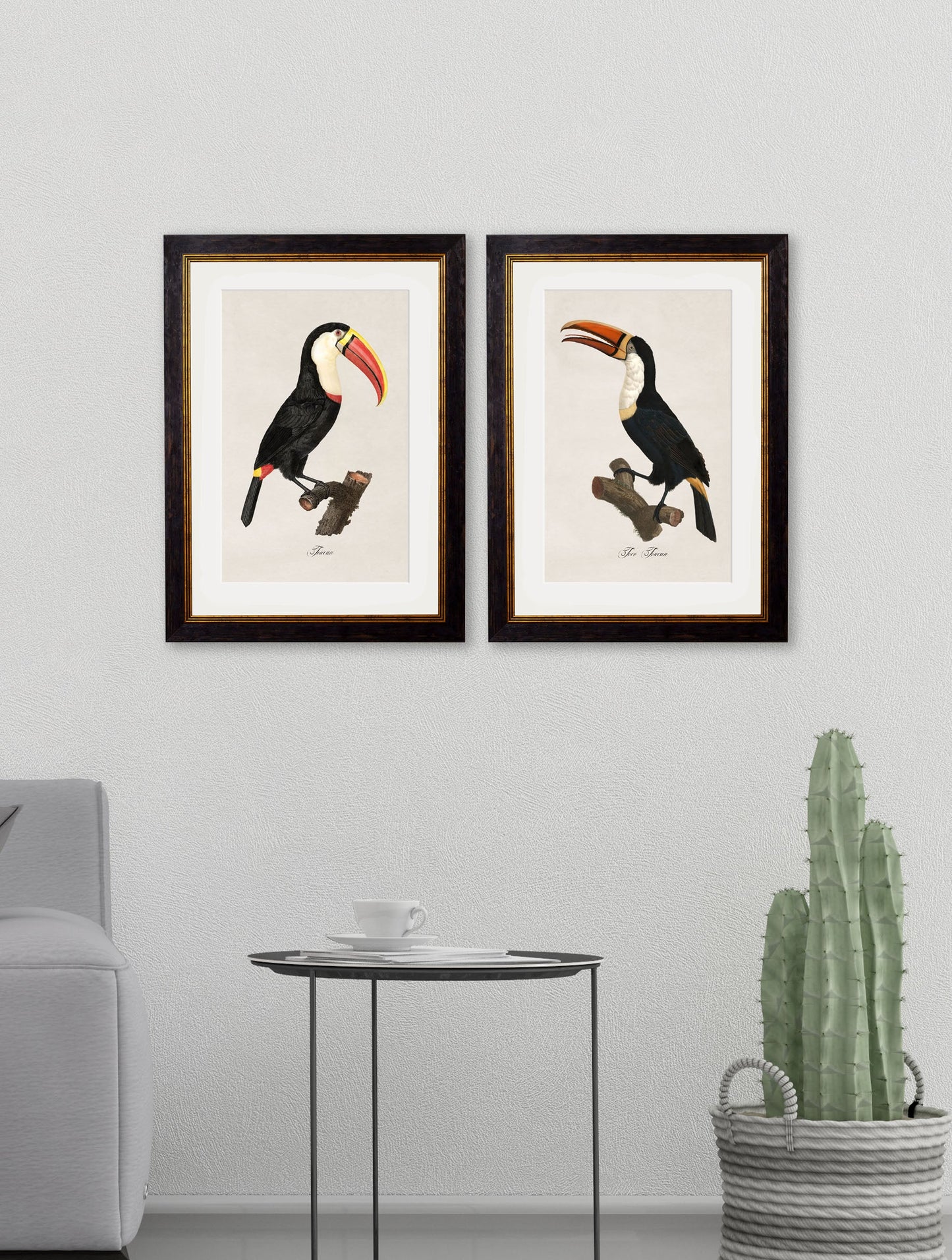 c.1809 Toucans