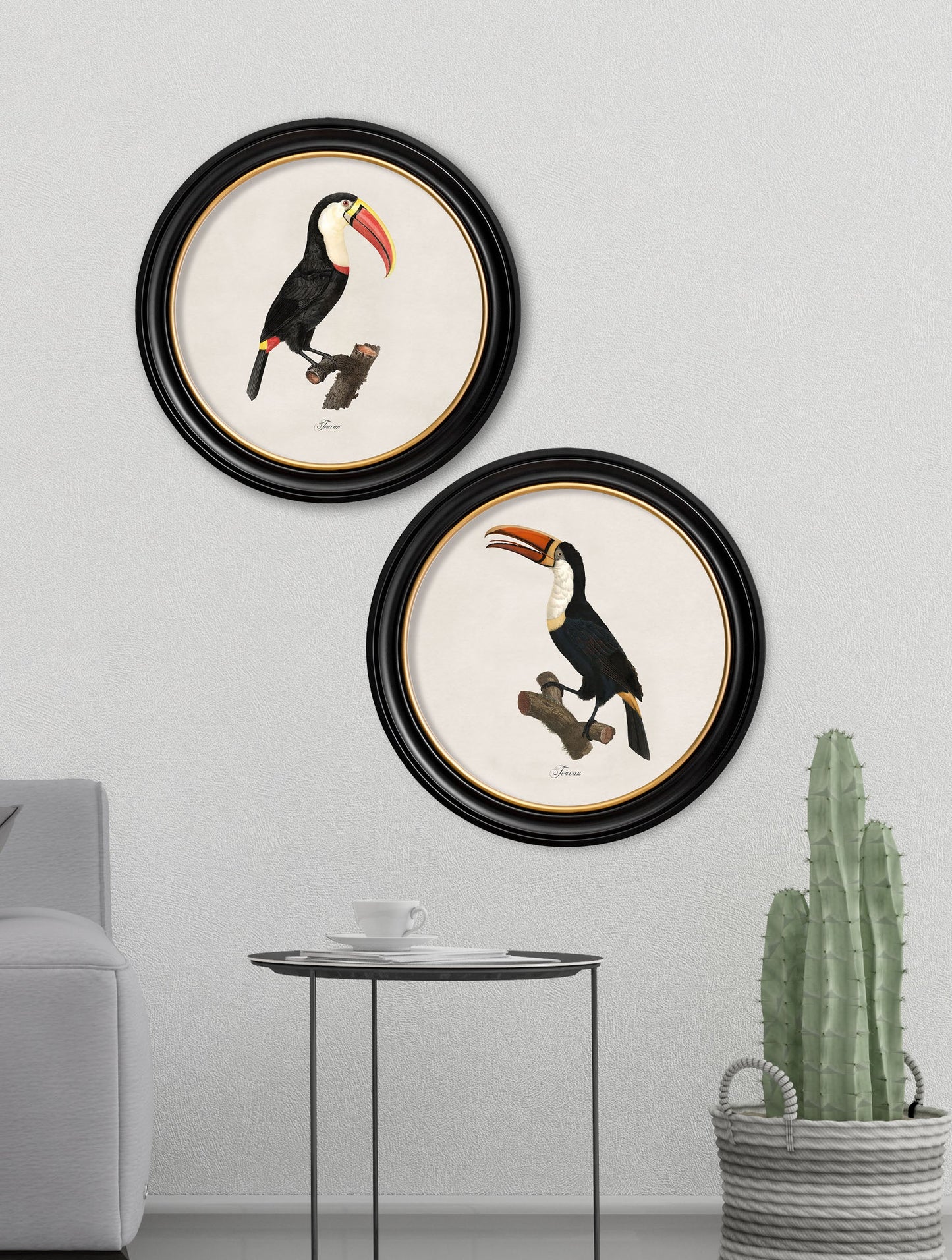 c.1809 Toucans - Round Frame