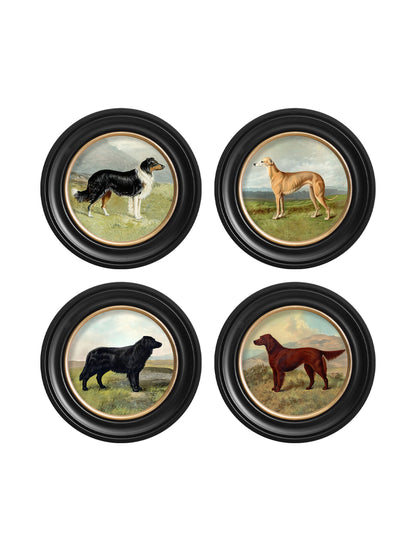 c.1881 Working Dogs - Round Frame