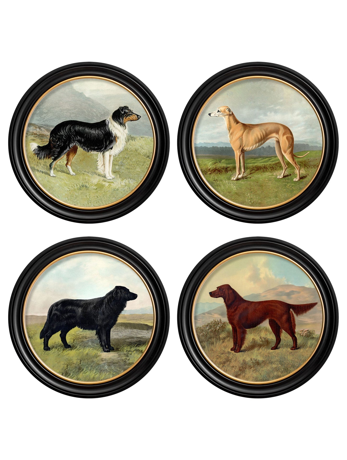 c.1881 Working Dogs - Round Frame